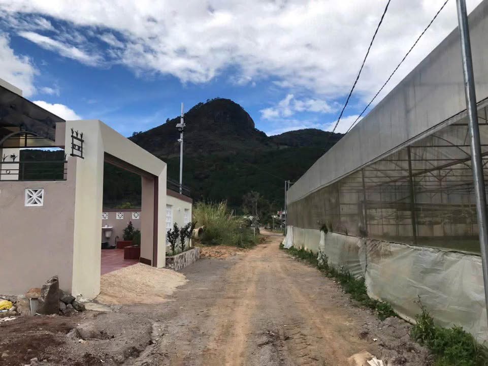 Đất thổ cư Định An, Đức Trọng – 110m² giá 1.4 tỷ - View đồi thông tuyệt đẹp!