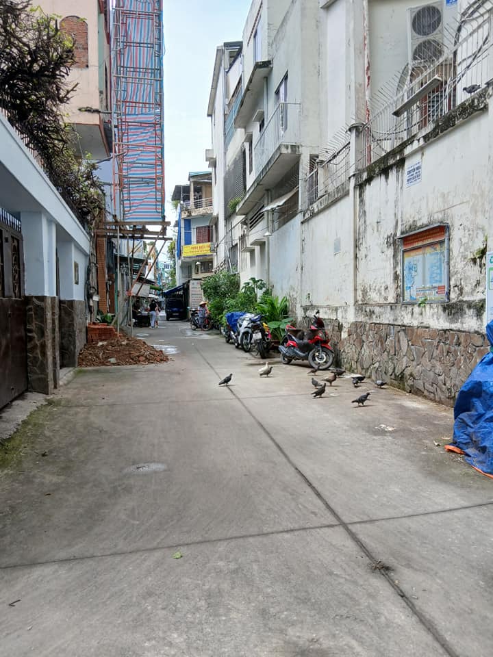 Nhà đẹp Nguyễn Đình Chiểu Quận 3 55m² giá 8 tỷ - Xây mới 100%!