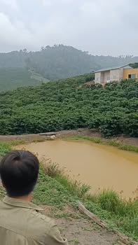 Đất nền Phúc Thọ, Lâm Hà 10,000m² giá 3 tỷ - Sổ đỏ chính chủ, điện nước đầy đủ!