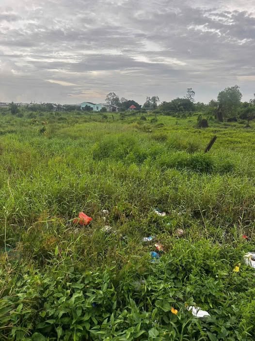 Đất nền Thanh Phú Long Châu Thành 3500m² giá chỉ 1.05 tỷ - Đầu tư sinh lời ngay!