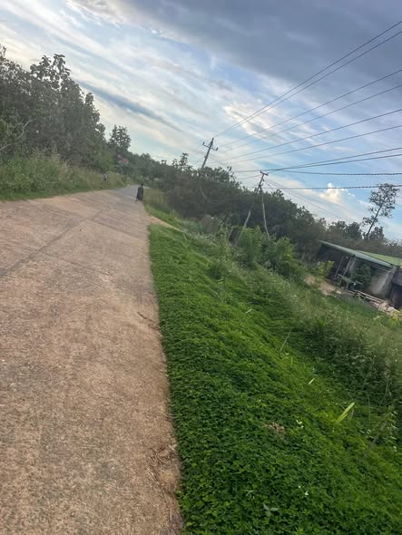 Đất Farm 3,7ha tại Ea Khal, Đắk Lắk - Thế đất đẹp, giá thương lượng!