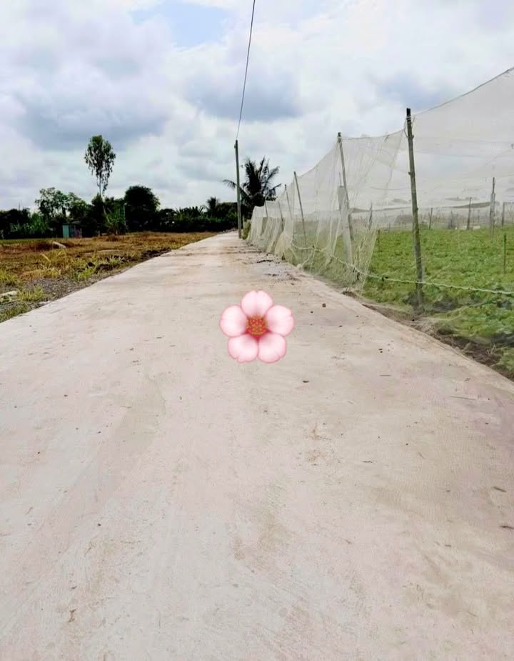 Đất nền giá rẻ tại khu phố Việt Hùng, Gò Công 128m² chỉ 200 triệu - Cơ hội đầu tư tuyệt vời!