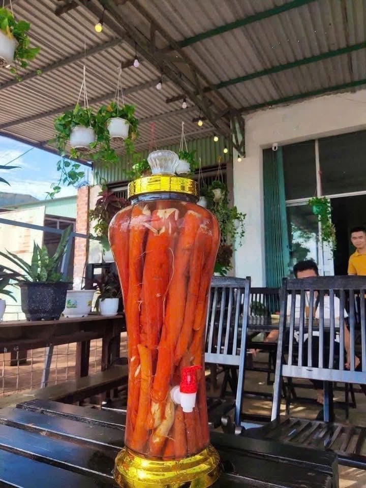 Đất đấu giá Vượng Lộc, Can Lộc 225m² giá 1 tỷ - Cơ hội đầu tư hấp dẫn!