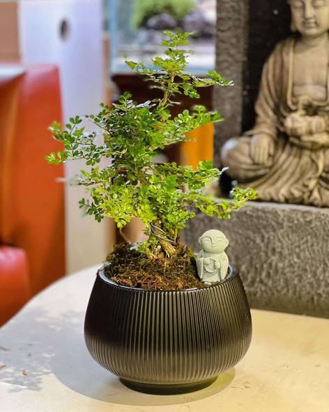 Đất Kim Ngưu Hai Bà Trưng 176m² giá 35 tỷ - Vị trí đắc địa, tiềm năng phát triển cao!