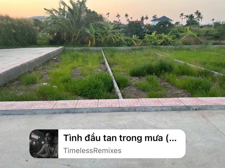 Đất nền thổ cư 62m² tại Thôn Thượng Trang, An Lão - Sổ đỏ chính chủ, giá chỉ 990 triệu!