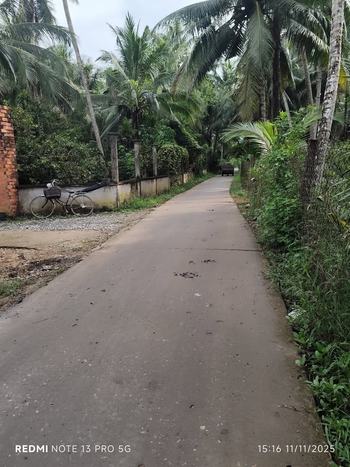 Đất nền Thạnh Ngãi Mỏ Cày Bắc 25.000m² giá 1.5 tỷ - Đầu tư sinh lời hấp dẫn!