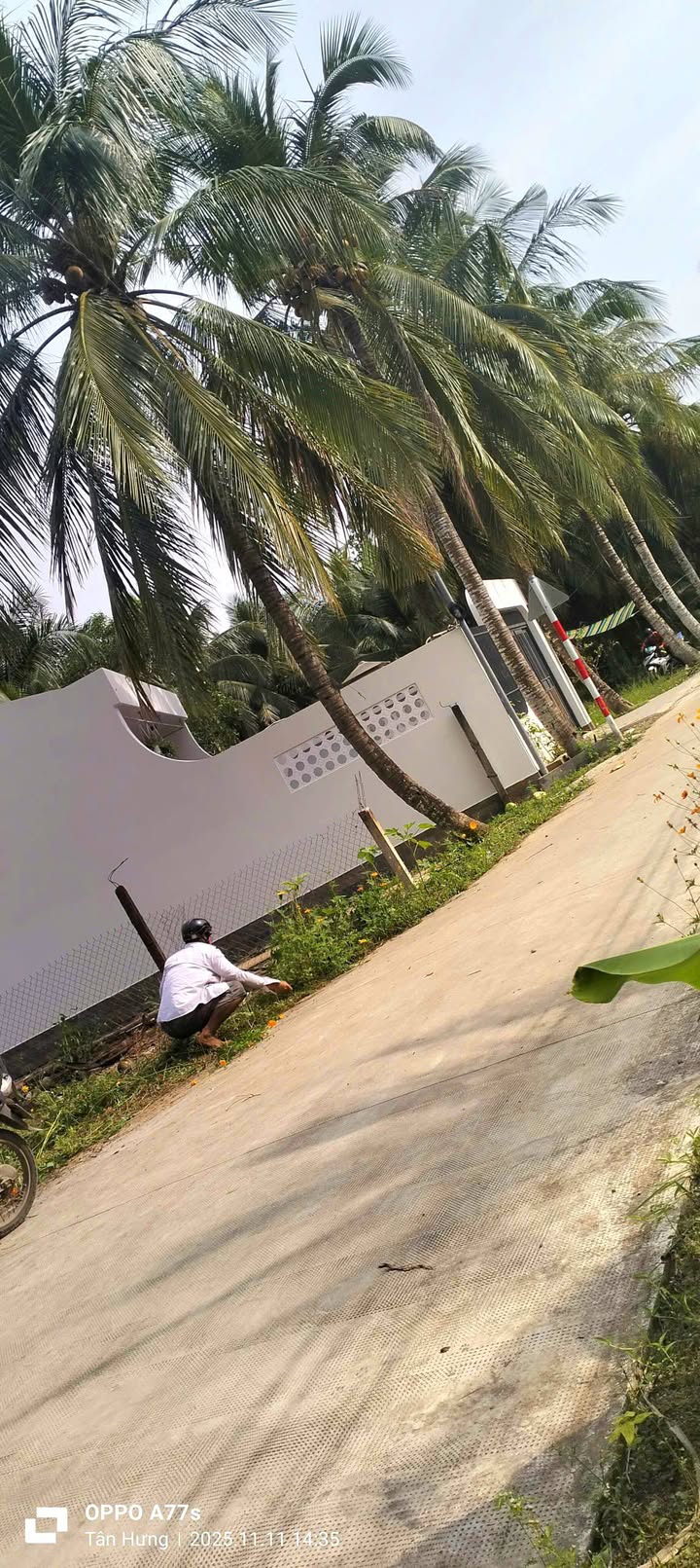 Đất nền thổ cư Tân Hưng, Ba Tri, Bến Tre 430m² chỉ 400 triệu - Sẵn sàng xây dựng!