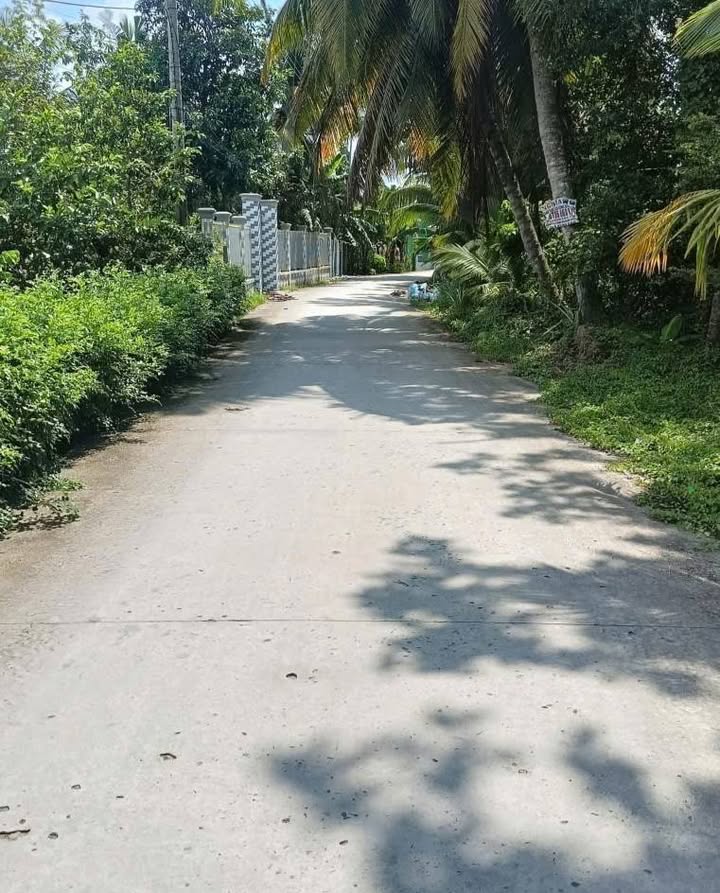 Đất nền thổ cư Tân Hưng 250m² giá 560 triệu - Hướng sông thoáng mát!