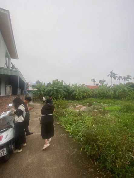 Đất Lâm Động 89m² giá 1 tỷ - Cơ hội đầu tư sinh lời cao!