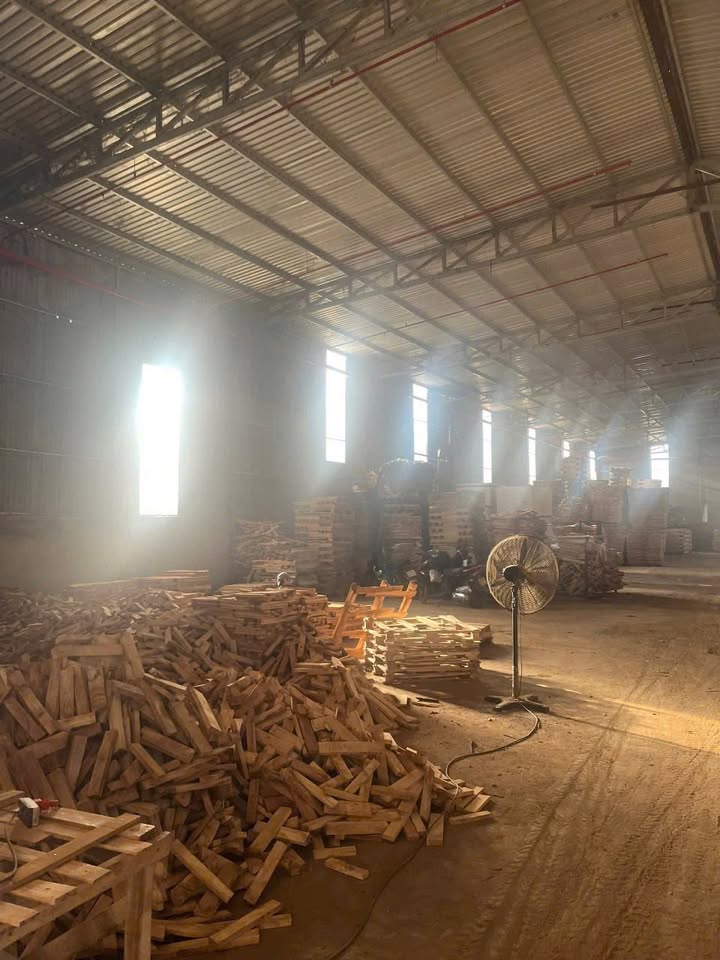 Bán xưởng gỗ Minh Long - Chơn Thành 16.000m² giá 35 tỷ - Cơ sở sản xuất lý tưởng!