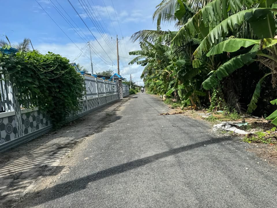 Đất lúa 7000m² Hiệp Mỹ Đông, Cầu Ngang - Giá tốt, cơ hội đầu tư!