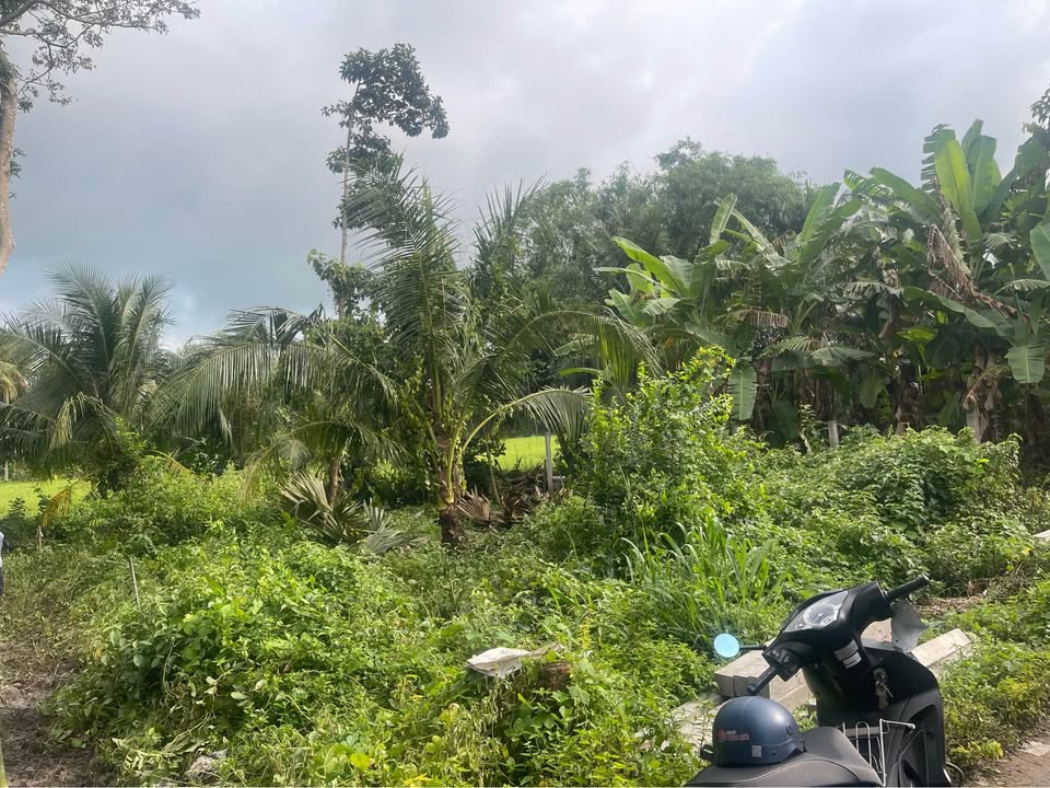 Đất nền Lương Hoà, Châu Thành 120m² giá 360 triệu - Sổ hồng chính chủ, đầu tư sinh lời!