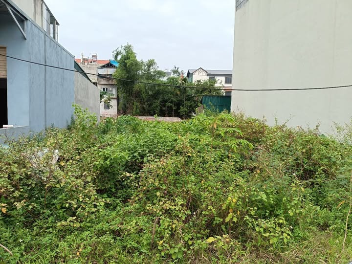 Đất Biên Giang Hà Đông 57.6m² - Mặt đường ô tô tránh, giá thỏa thuận!