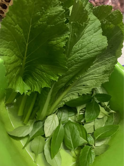 Đất kiệt Hòa Quý 92,8m² giá 2,9 tỷ - Ô tô vào tận nơi, không ngập lụt!