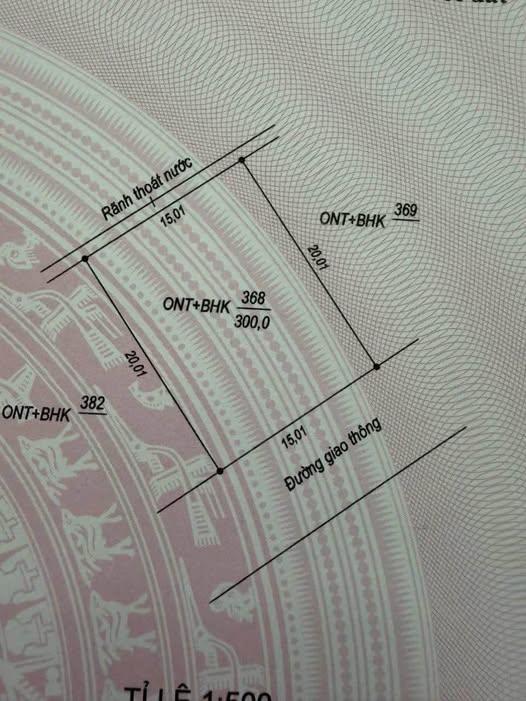 Đất nền khu biệt thự Nam Trạch 300m² giá chỉ 1.6 tỷ - Cơ hội đầu tư tuyệt vời!