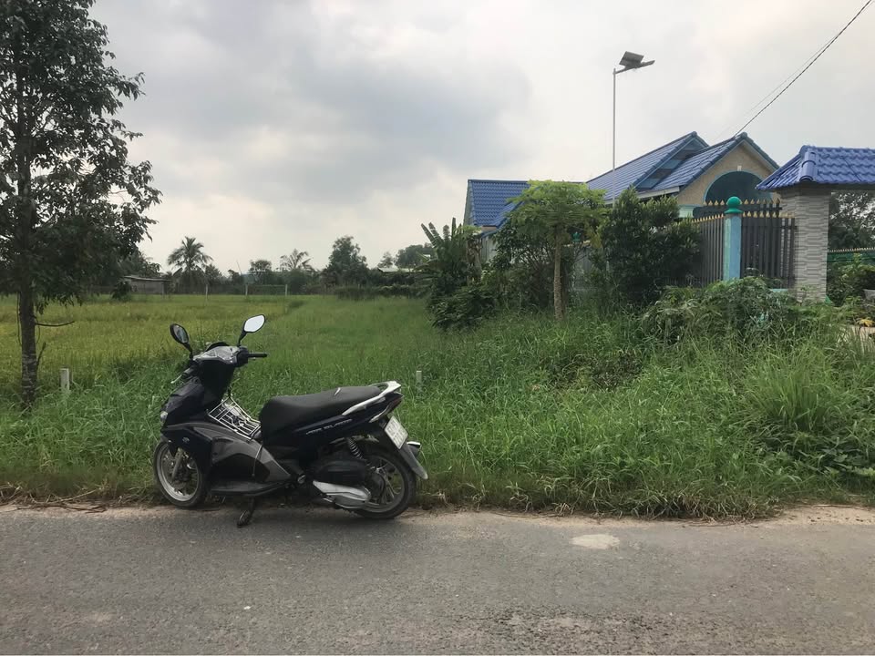 Đất thổ cư 255m² tại Mỹ Hạnh Nam, Đức Hòa, giá 1.79 tỷ - Cơ hội đầu tư hấp dẫn!