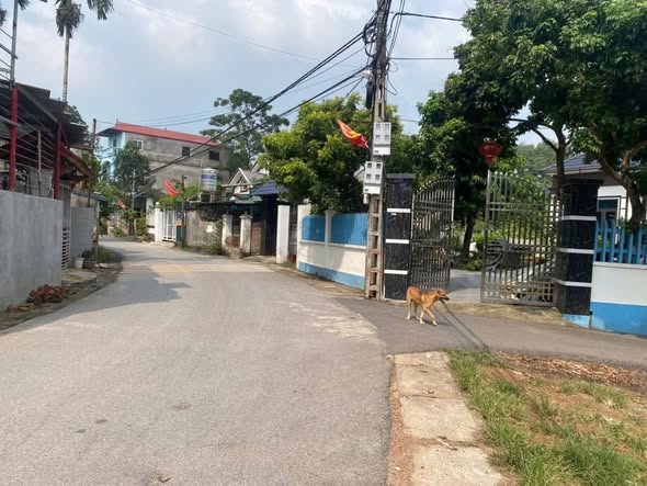 Đất nền Trục Chính Tam Hợp 89m² giá 1.7 tỷ - Cơ hội đầu tư hấp dẫn!