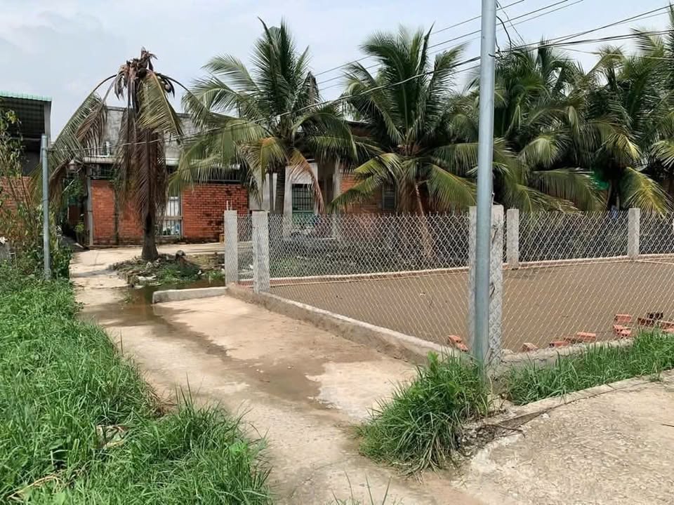 Đất thổ cư 118m² tại Ấp 6, Thạnh Đức chỉ 495 triệu - Bán gấp!