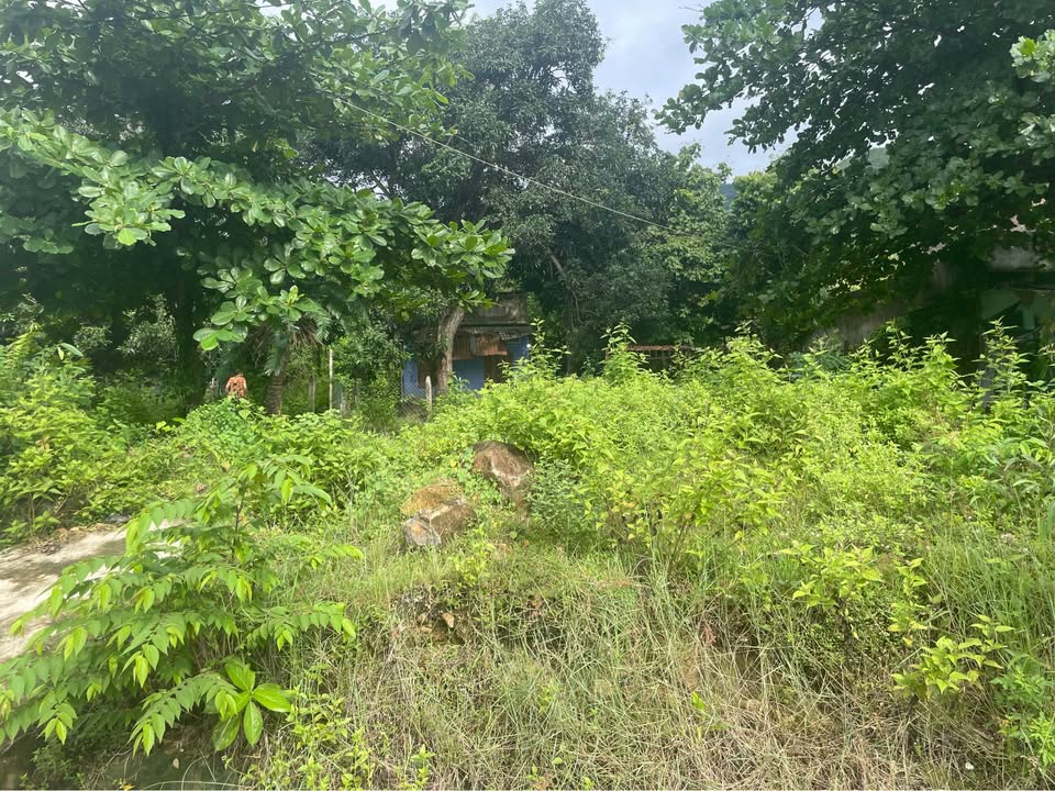 Lô đất đẹp Thôn Phước Thượng, Nha Trang 1421m² giá 10.5 tỷ - Đầu tư sinh lời lâu dài!