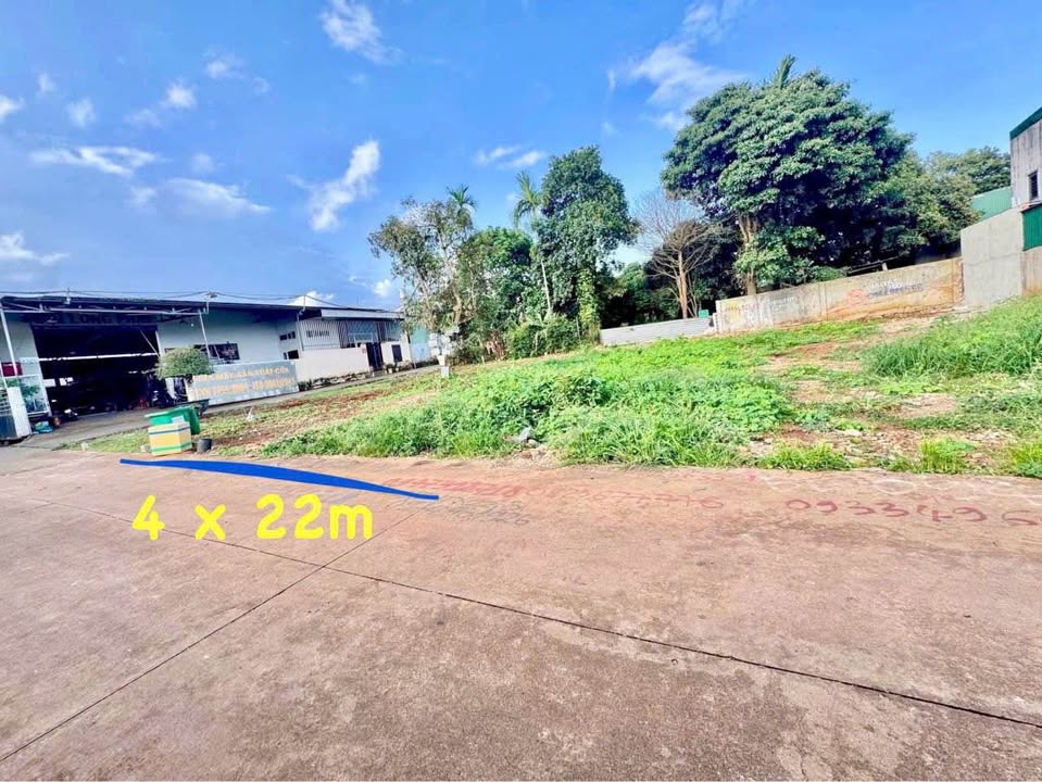 Đất hẻm 166 Đồng Khởi, Tân Lợi 88m² chỉ 2.9 tỷ - Đầu tư sinh lời ngay!