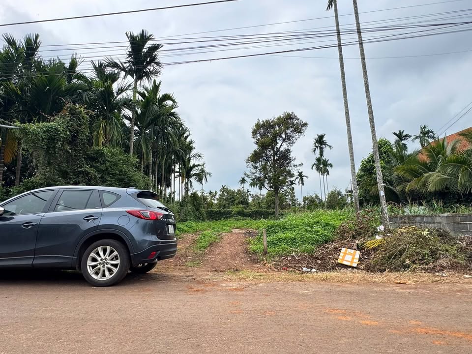 Đất nền Hòa Thắng - Buôn Ma Thuột 135m² giá 1.2 tỷ - Vị trí đắc địa, tiện ích xung quanh!