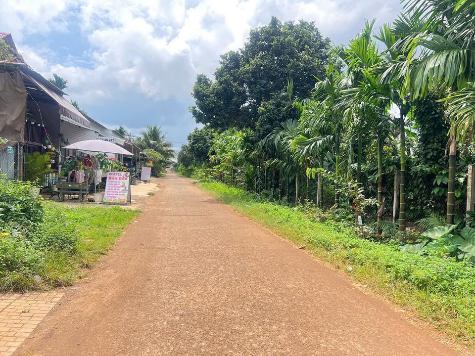 Đất nền Tân An Buôn Ma Thuột 205m² giá 1.85 tỷ - Sổ đỏ chính chủ!