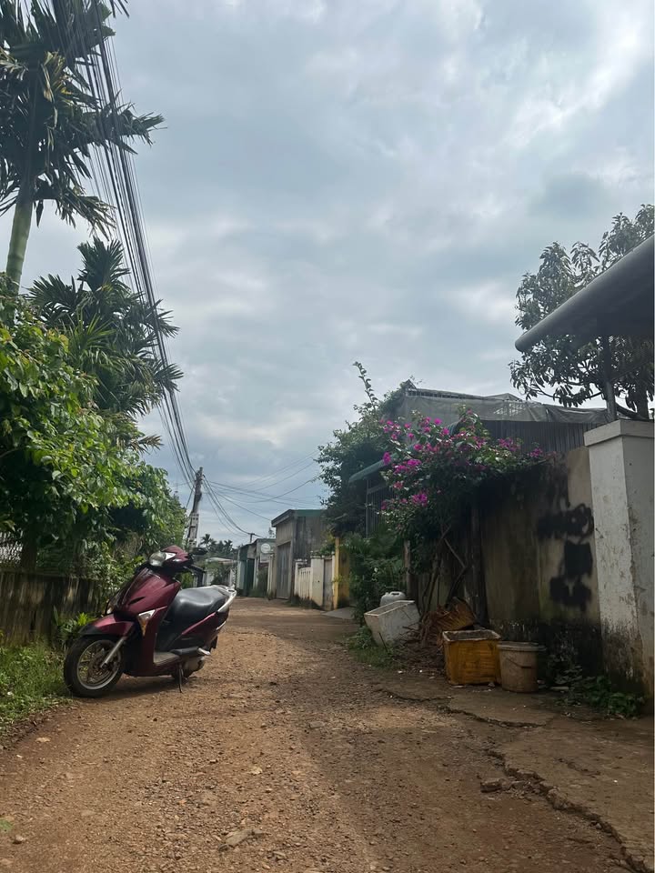 Đất thổ cư Hẻm Hùng Vương 125m² giá 2.69 tỷ - Vị trí thuận lợi gần tiện ích