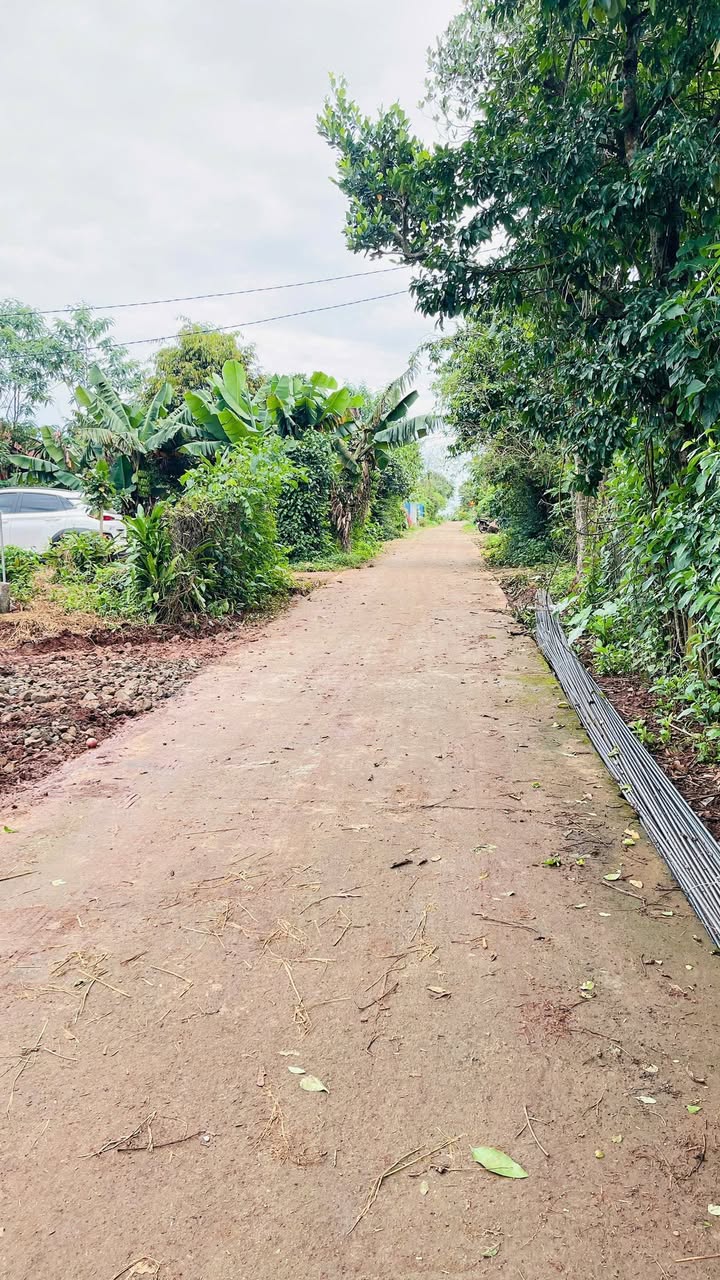 Đất thổ cư 576m² đường 19 tháng 5, Buôn Ma Thuột - Đầu tư sinh lời ngay!