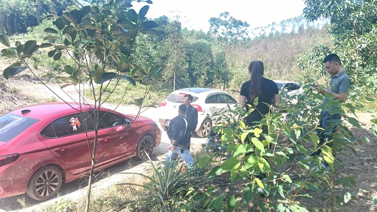 Đất nền Tam Tiến Yên Thế 145m² giá 300 triệu - View sân golf độc nhất!