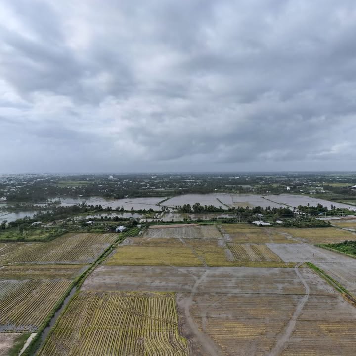 Bán đất mặt tiền kênh Rạch Chát 2, 3.496m², giá 4.545 tỷ - Cơ hội đầu tư tuyệt vời!