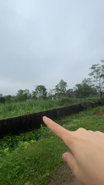 Đất nền Xóm 6 Đại Sơn 445m² giá 1.1 tỷ - Đường rộng 8m, gần khu công nghiệp!