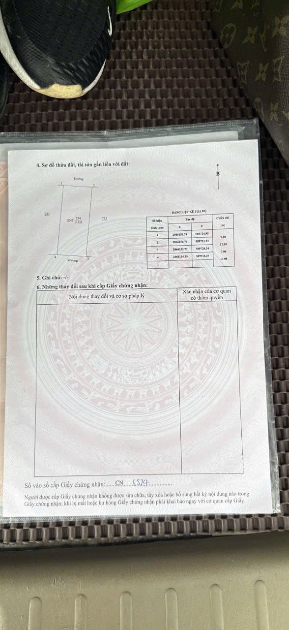 Đất chính chủ Kim Liên, Nam Đàn 119m² giá chỉ 3 tỷ - Cơ hội đầu tư tuyệt vời!