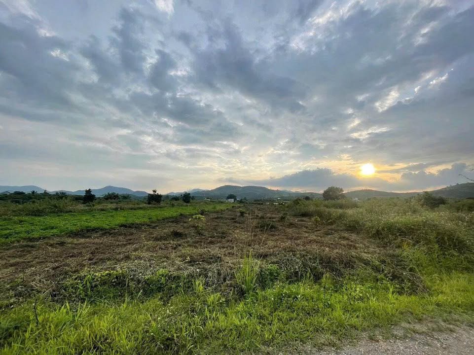 Bán đất Lộc Châu Bảo Lộc 1083m² chỉ 1.1 tỷ - Đất bằng đẹp, sổ đỏ chính chủ!