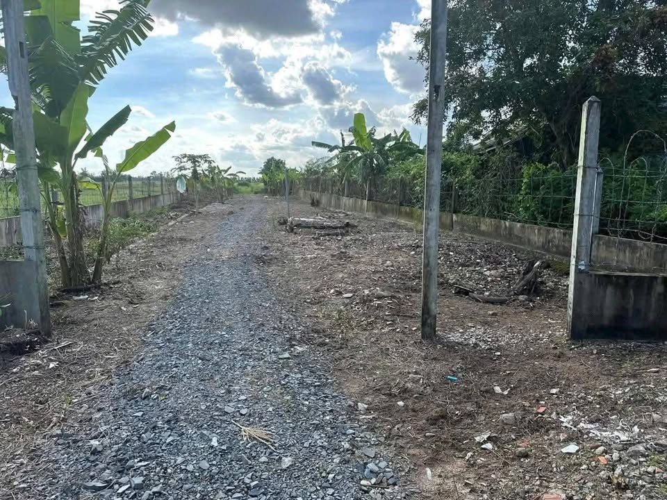 Đất vườn mặt tiền Quốc lộ 60 Trường Khánh 11.000m² - Tiềm năng phát triển vượt trội!