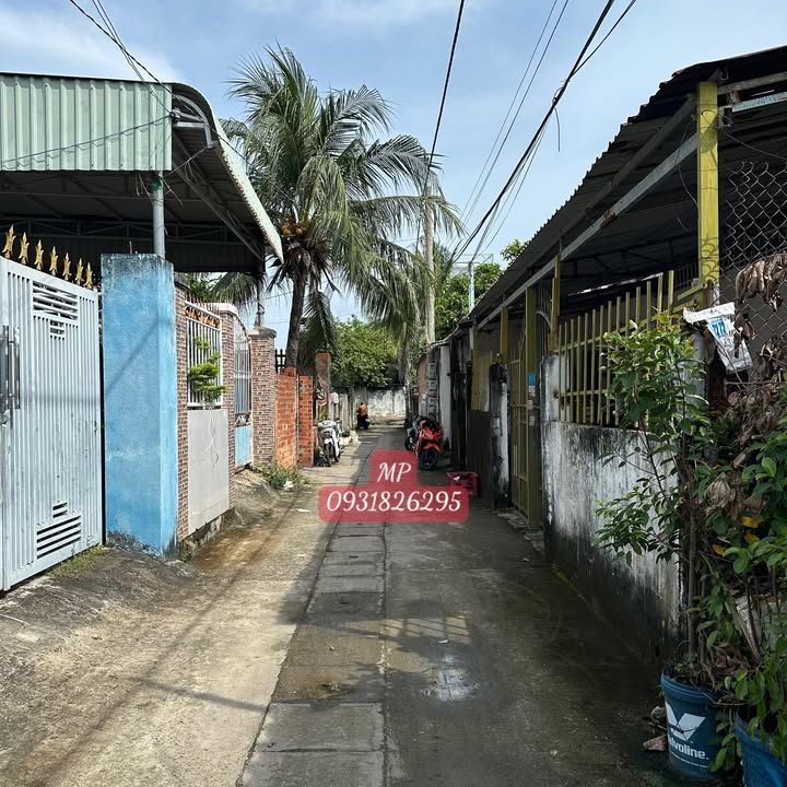 Đất thổ cư Phước Hưng 162.5m² giá 1.8 tỷ - Đầu tư tiềm năng ngay gần chợ!