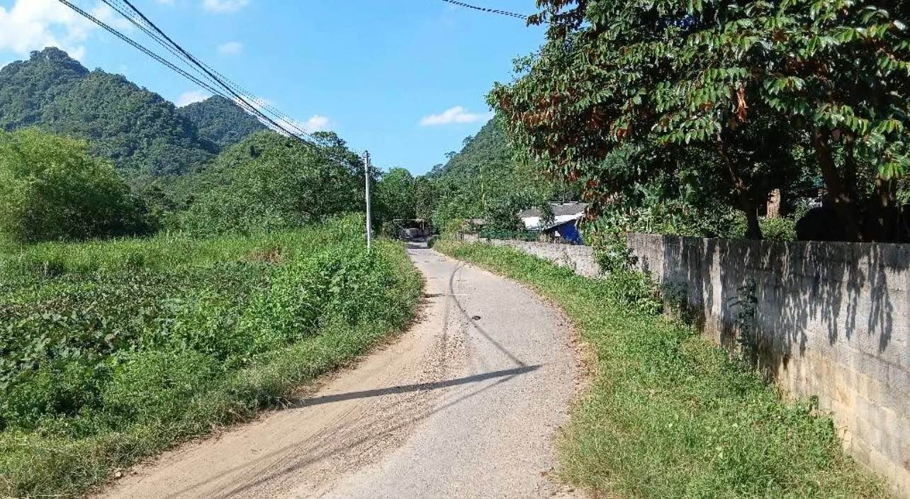 Đất Farm 5000m² tại Địch Quả, Thanh Sơn - Gần mặt đường liên xã, giá chỉ 3 tỷ!