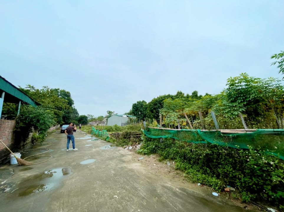 Đất thổ cư Thanh Vinh, Phú Thọ 83m² giá chỉ 500 triệu - Đất đẹp vuông vắn!