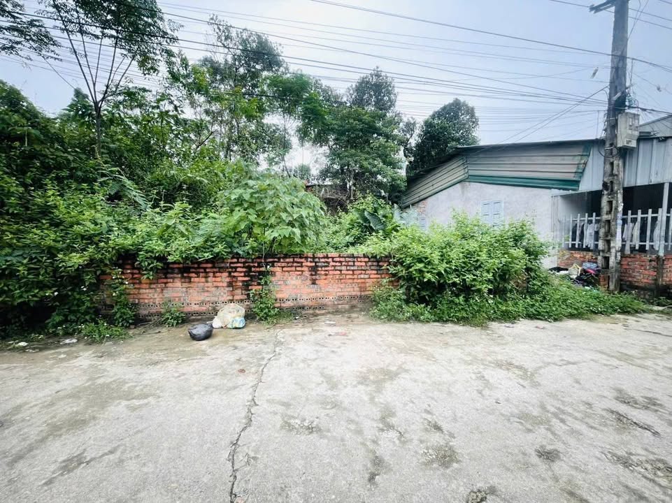 Đất mặt tiền Khu Cẩm Đội - Nông Trang 96m² giá 1.3 tỷ - Đầu tư sinh lời ngay!