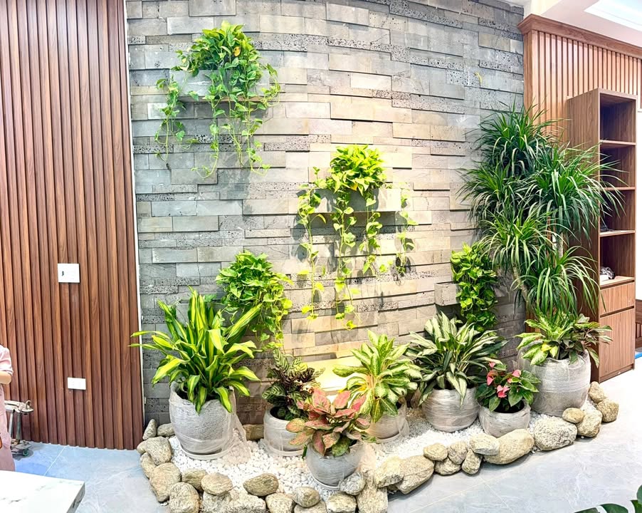 Nhà phố 3 tầng Khu đô thị Minh Phương, Nông Trang 90m² giá 5.8 tỷ - Không thể bỏ lỡ!