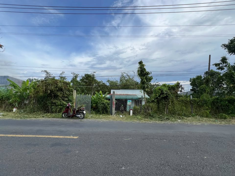 Đất nền 5000m² mặt tiền 944 - Xã Hòa Bình, Chợ Mới - Giá 10 tỷ, cơ hội đầu tư hấp dẫn!