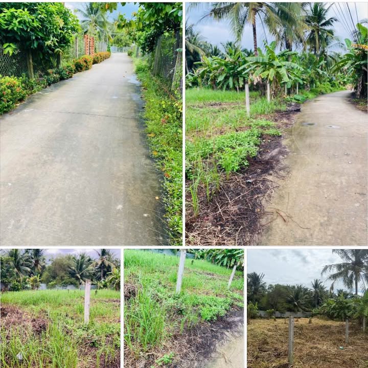 Đất nền biệt thự Phú Túc 560m² giá 850 triệu - Sổ đỏ chính chủ, xây dựng ngay!