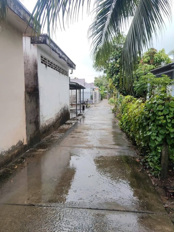 Đất nền mặt tiền đường Bưng Chông, Tài Văn, Sóc Trăng 162m² - Giá chỉ 150 triệu VND!