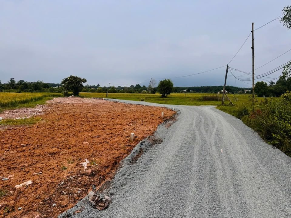 6 Lô Đất Đẹp 145m² tại Xã Phan, Dương Minh Châu, Tây Ninh - Giá 200 triệu!