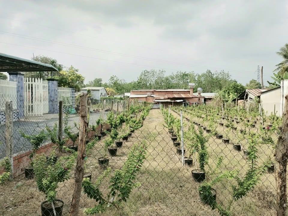 Đất thổ cư Bàu Lùn, Dương Minh Châu 365m² giá 1.05 tỷ - Đầu tư sinh lời ngay!