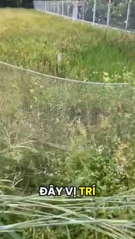 Bán Đất Mặt Tiền Đường Nhựa 570m² - Xã Tân Thành, Tây Ninh - Giá 60 triệu/m²