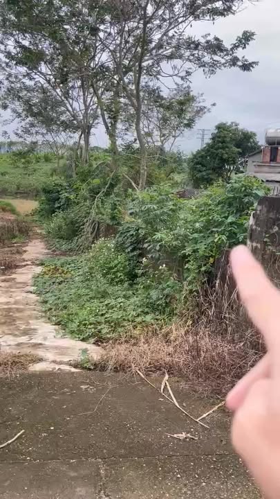 Đất nền xóm Đông Nam, Nghĩa Sơn 360m² giá 200 triệu - Sổ đỏ chính chủ, pháp lý rõ ràng!