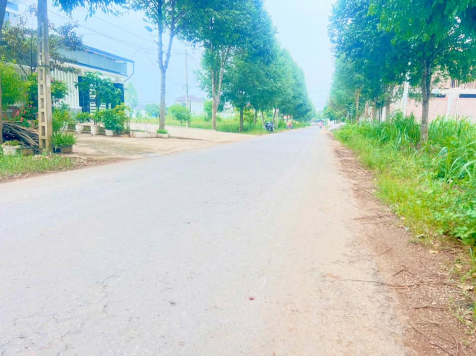 Đất nền Nghĩa Hưng 160m² giá 2 tỷ - Đường quy hoạch 20m, đầu tư sinh lời!