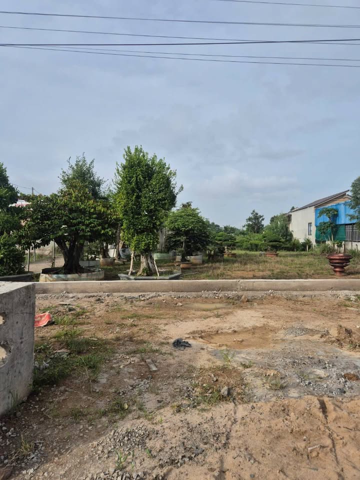 Đất nền Hương Lộ 2, Bà Rịa 235m² giá 5 tỷ - Đầu tư sinh lời ngay!