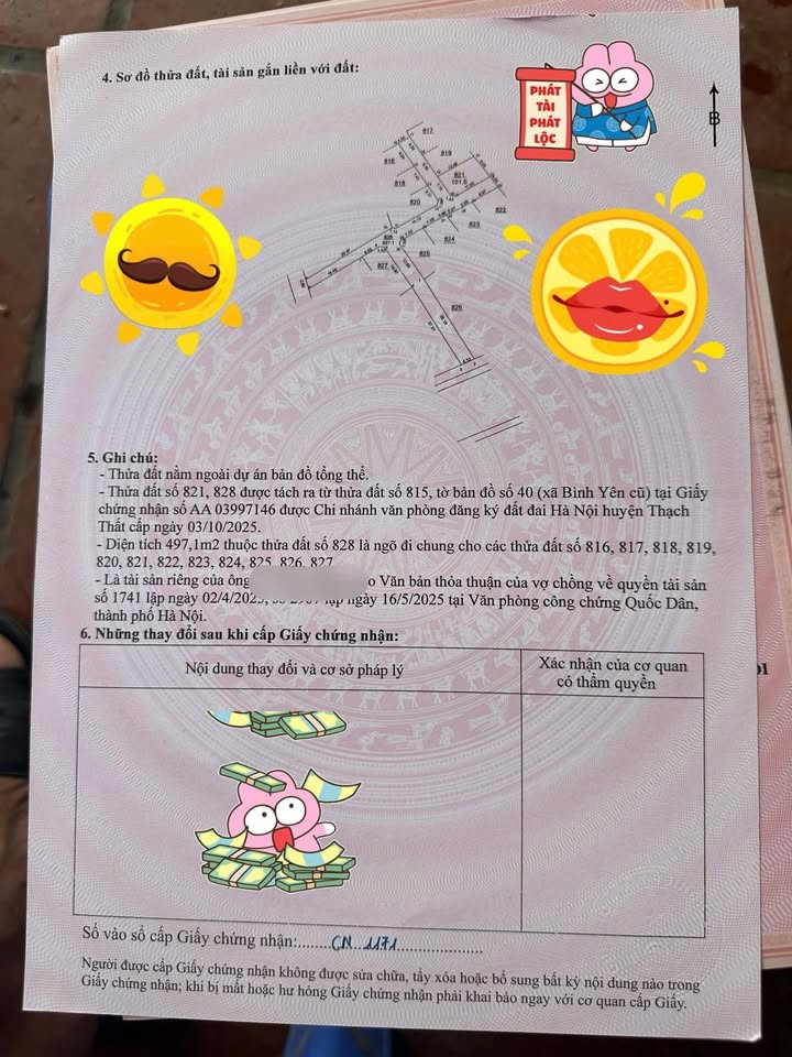 Đất nền Thái Bình Hạ Bằng 101m² - Bán gấp, giá thỏa thuận!