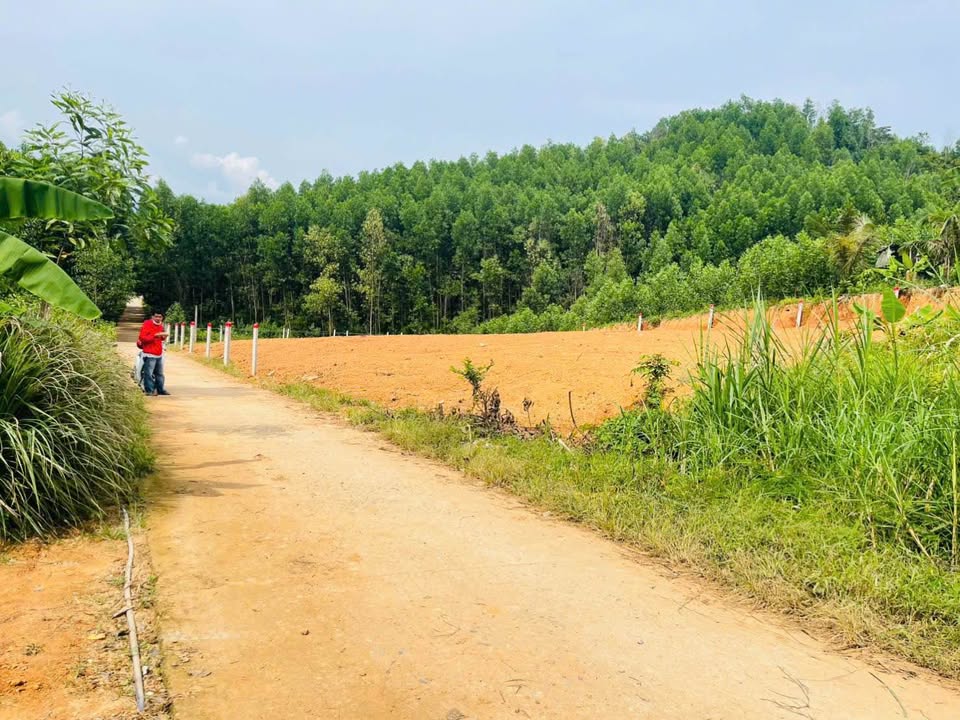 Đất thổ cư Khánh Vĩnh 108m² chỉ 215 triệu - Sổ hồng chính chủ, ô tô vào tận nơi!